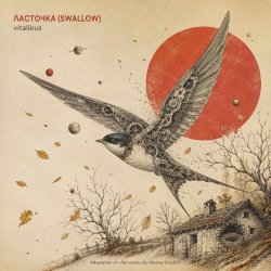 Обкладинка ViTaLiKuS - Ласточка (Swallow)