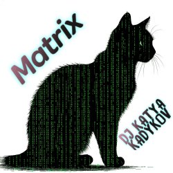 Обкладинка DJ Katya Kadykov - Matrix (minatrix_edition)