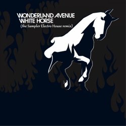 Обкладинка White Horse (the Sampler Electro House remix)