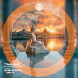 Обкладинка Tomas Briski - Mirrors on the Ceiling