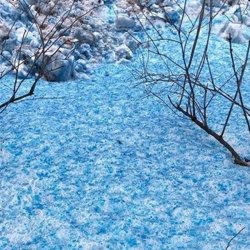 Обкладинка Прицесса Бурунди - А пока лип синий снег