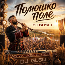 Обкладинка DJ GUSLI - Полюшко-поле