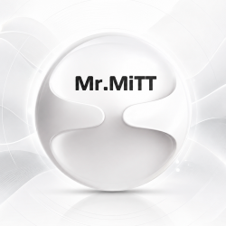 Cover Mr.MiTT - Just BassiX (BAM BOO SPEED GARAGE MIX)