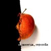 Cover Чернозем - Над заборами Чернозем - Над заборами