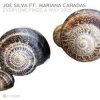 Обкладинка Joe Silva - Everyone Finds a Way 2025 Joe Silva - Everyone Finds a Way 2025