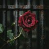 Обкладинка RJ Emerald Fire (Изумрудный огонь) - Prison of Love RJ Emerald Fire (Изумрудный огонь) - Prison of Love