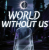 Обкладинка EvilanDark - World Without Us