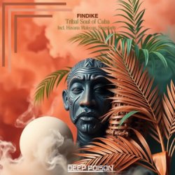 Обкладинка Findike - Tribes (Original Mix)