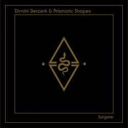 Обкладинка Dimitri Berzerk - Surgere (Mi 3 De 8 Bits Remix)