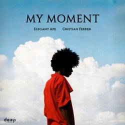 Обкладинка Elegant Ape & Cristian Ferrer - My Moment (Radio Edit)