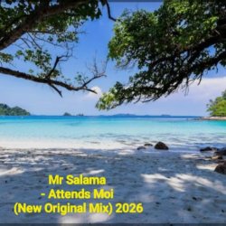 Обкладинка Mr Salama - Attends Moi (New Original Mix) 2026​