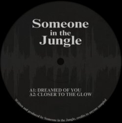 Обкладинка Someone in the Jungle - Gunshot