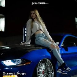 Обкладинка ALEEX, DEENI - Street Boys