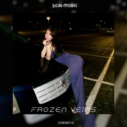 Обкладинка DEENI - Frozen Nights