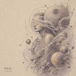 Обкладинка ViTaLiKuS - VEIL