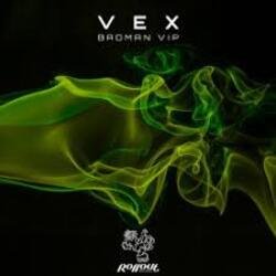 Обкладинка VEX - Northern Funk (Leks Remix)