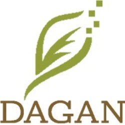 Обкладинка Dagan - Focused
