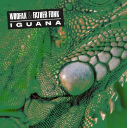 Обкладинка Iguana - Illimani