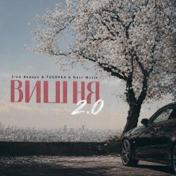 Обкладинка 3-ий Январь - Вишня (2.0 TUSOVKA & Nazz Muzik Remix)