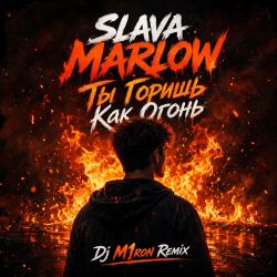 Обкладинка ТЫ ГОРИШЬ КАК ОГОНЬ (Dj M1ron Remix)