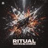 Обкладинка Tiesto & Rita Ora - Ritual (DJ Nowitzki Remix) Tiesto & Rita Ora - Ritual (DJ Nowitzki Remix)