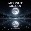 Vasilii CECEGOV & Atom - Moonlit melody