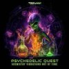 Обкладинка Psychedelic Quest - Psychotherapy Psychedelic Quest - Psychotherapy