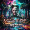 Tropical Bleyage - Memories Of Light (Champa Remix)