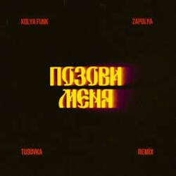 Обкладинка Kolya Funk, ZAPOLYA, TUSOVKA - Позови меня (Remix)