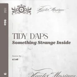 Обкладинка Tidy Daps - Something Strange Inside (Original Mix)