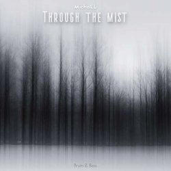 Обкладинка MichaEL - Through the mist