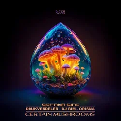 Обкладинка Orisma & DJ Bim feat. Kata - Requiem To A Dream (Original Mix)