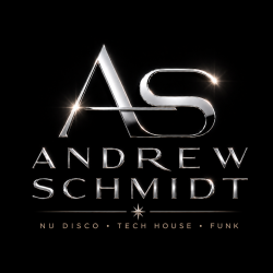 Cover Andrew Schmidt feat. Andra Vox - The Summer's Gone (Radio Edit)
