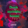 leans - Dark melodic house leans