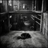 Обкладинка SerDi - Concrete Lungs SerDi - Concrete Lungs