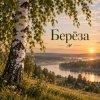 Обкладинка Апро - Берёза Апро - Берёза