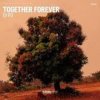 Обкладинка DJ PD - Together Forever DJ PD - Together Forever
