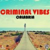 Criminal Vibes vs. DJ DNK - Calabria (DJ KIRILLICH Mashup)