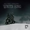 Обкладинка Eric C. Powell & Andrea Powell - Winter Song Eric C. Powell & Andrea Powell - Winter Song