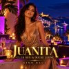 Обкладинка remix Micke Leone - Juanita by Gino Baci remix Micke Leone - Juanita by Gino Baci