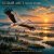 Обкладинка ViTaLiKuS - БЕЛЫЙ АИСТ (WHITE STORK)