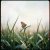 Обкладинка Сизигия Syzygy - Познал ты Бога?...