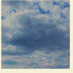 Обкладинка I know I can still fly