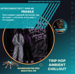 Обкладинка Astroconductor ft. Dark Me - Fragile
