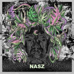 Обкладинка Nasz - Believe