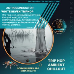 Обкладинка Astroconductor - White Reven Triphop