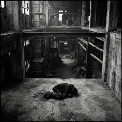 Обкладинка SerDi - Concrete Lungs