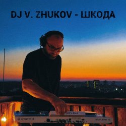 Обкладинка Dj Vasya Zhukov - Шкода