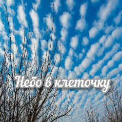 Обкладинка Яна RU - Небо в клеточку