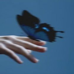 Обкладинка Butterflies in the Stomach